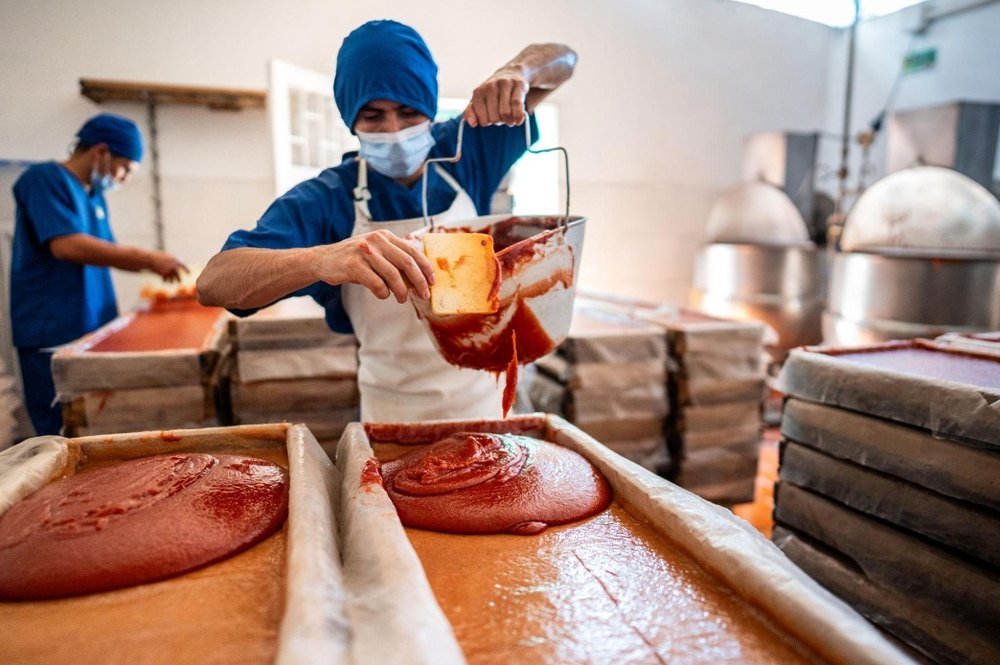 Guava pulp being poured into trays